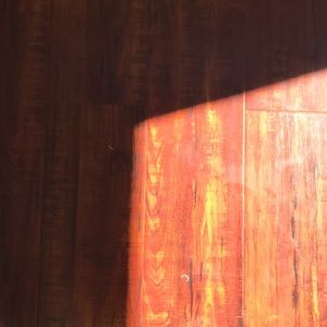 Meet your Posher, Moni